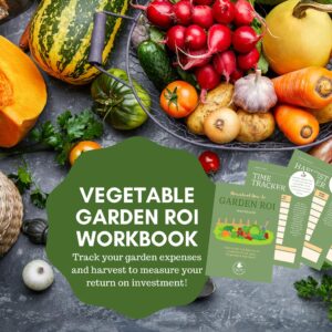 vegetable garden ROI workbook - featured image