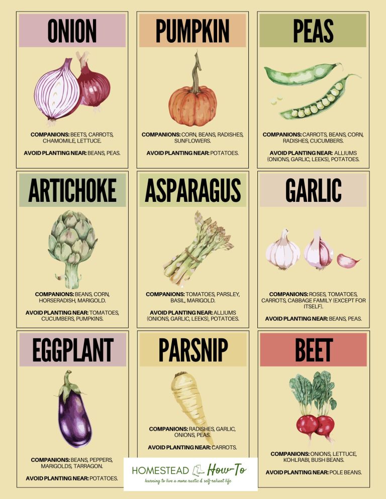 Companion Planting Guide – Homestead How-To